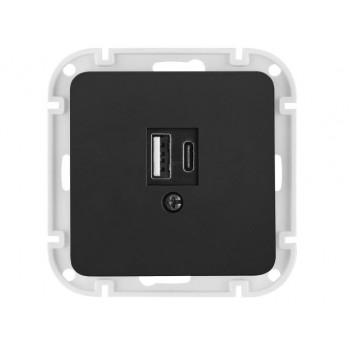 Розетка с двумя USB-разъемами (узел, скрытая) карбон, Astrum Bylectrica